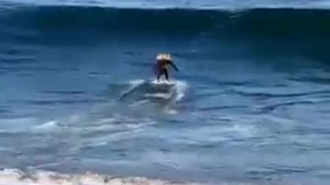 Sea Surfing mishap