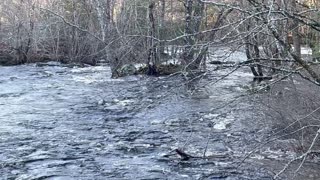 River In South Brookfield