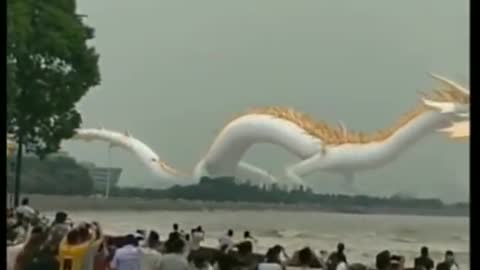 Crazy Chinese Dragon