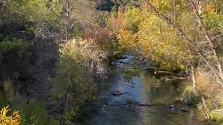 Beautiful creek in Arizona