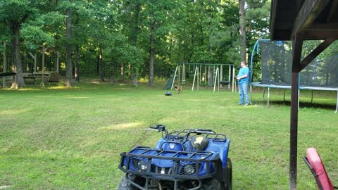 RC Toy Tries to Tire out the Pooch