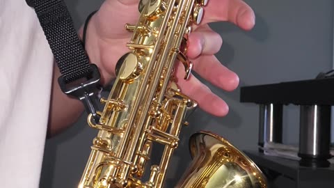 Bella Ciao Alto Sax Cover!