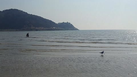 Video of Eurwangni Beach in Korea