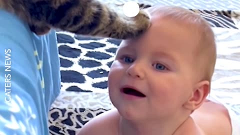 Cat Comforts Crying Baby