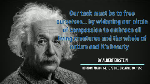 Inspiring Quote s By Albert Einstein To Inspire You To Be Great Part 7