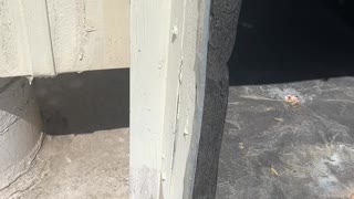 removing old duct sealant