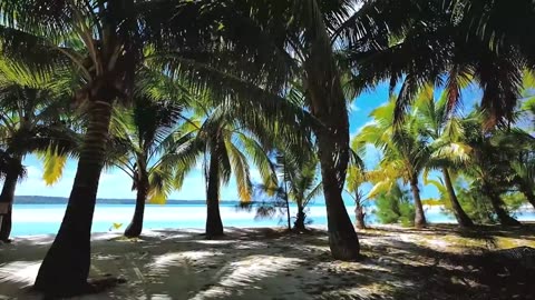 DRONE-FOOTAGE- BEAUTIFUL-NATURAL-VIEWS- BEACHES