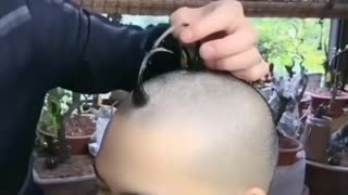 the most bizarre haircut in the world