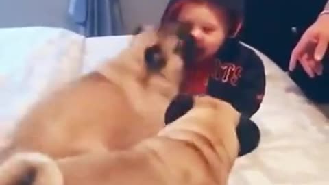baby with bondation dog 😍😍 cute child video 2021