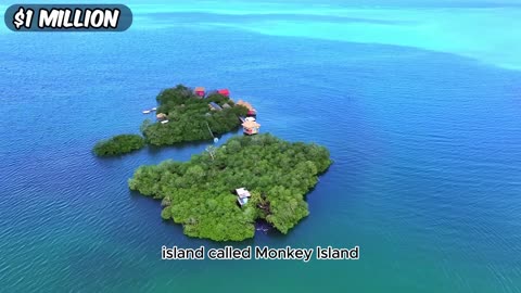 $1 vs $250,000,000 Private Island! MrBeast