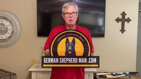 German Shepherd Puppy Training GOLD!!! Make SURE you do this.