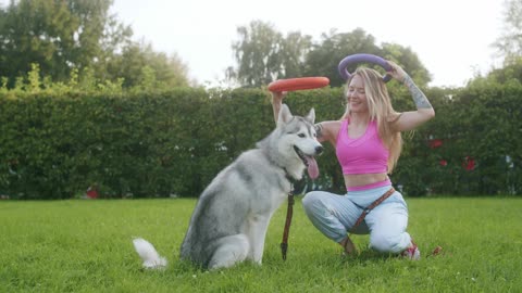 Cute Dogs And Her friend Playing In the Filed