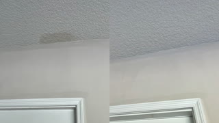 Fix Ceiling Water Stains - Unpainted Water Stained Ceiling Bleached Back to White