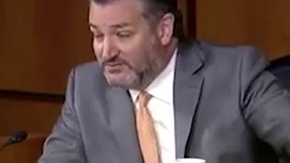 Ted Cruz SCHOOLS Democrat Senator Who Calls Him a Liar