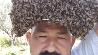This Man Has The Most Interesting Hobby As A Beekeeper