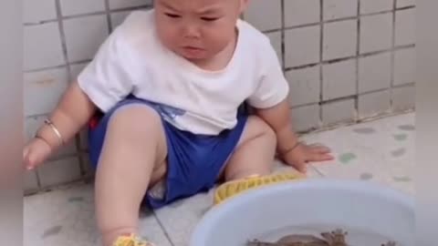 Baby playing with shrimp for the first time