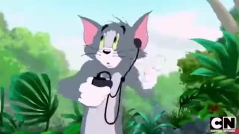 Tom and jerry