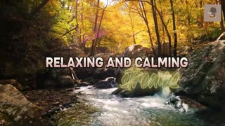 30 Minute Relaxing Background Music - Streams #naturesound #ambient #music