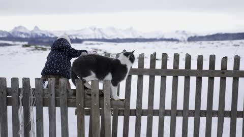 Beautiful cat opening the door to a baby