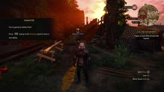 The Witcher 3 - Quest - The Beast of White Orchard