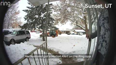 Little Girl Crosses Paths With A Bobcat & Dad Forgets Dog Outside