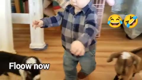 Funny video funny baby video cat and dog funny video