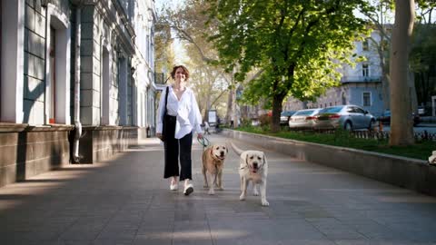 Young stylish hipster girl walking with two retriever dogs outdoors in city center during sunny day