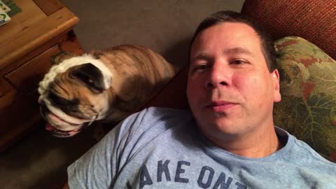 Bulldog Belches in Owners Ear