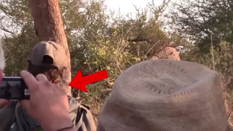 4 Elephant Encounters You Will Regret Watching!!!