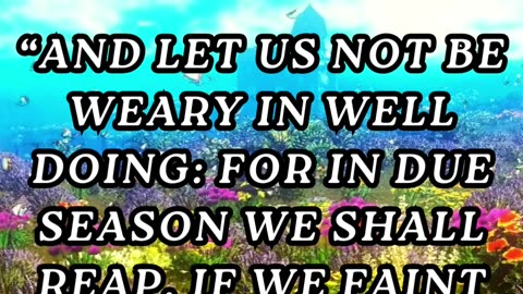 And let us not be weary in well doing: for in due season we shall reap, if we faint not