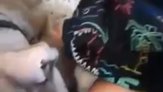Pitbull Puppy Meets Baby For First Time!