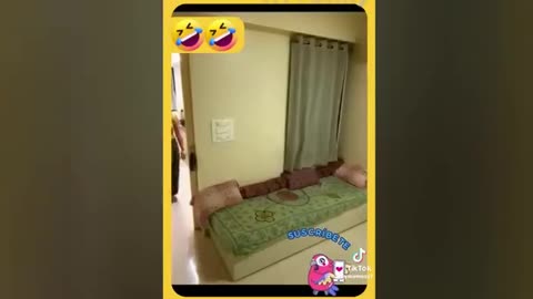 Funny videos