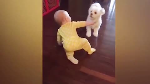 Dogs are the best friend of Babies 39