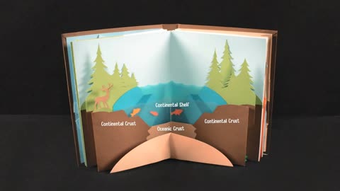 Continental crust forms continents and shallow water areas, while oceanic crust forms ocean basins.