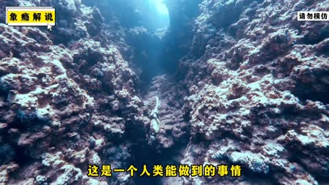 Deadly dive by hand, the old man dives 100 meters to the sea floor without any equipment