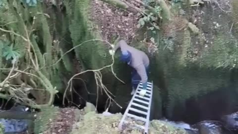 Lamb Rescued From Deep Ravine