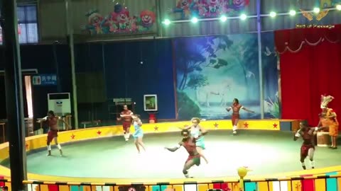 Circus Show at Zhenzhen Safari Park in China