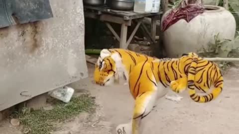 Fake Lion Tiger Prank on Dogs Funny Video Laugh Troll Prank