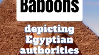 😮🐒 BABOONS WERE A USE OF AUTHORITY IN ANCIENT EGYPT