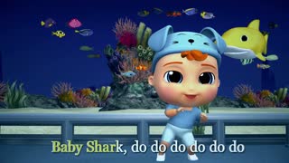 Baby Shark Song for Children