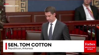 Senator Tom Cotton on Obama, Biden, and Iran