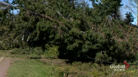 Storm Fiona: Full extent of damage in Prince Edward Island not known, officials say