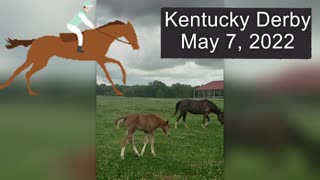 Celebrating Kentucky Bluegrass Horses