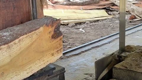 How Wood Cutting Is Made Efficient Blocks In Sawmill Saws Wood Is Rare And Most Expensive