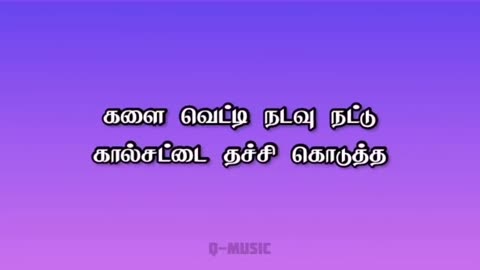 Pathu maasam enna sumanthu pethu பத்து மாசம் என்ன சுமந்து Sad Song lyrics