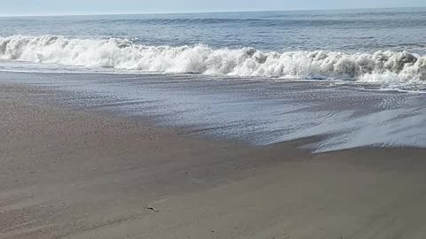 Roaring waves off coast of california