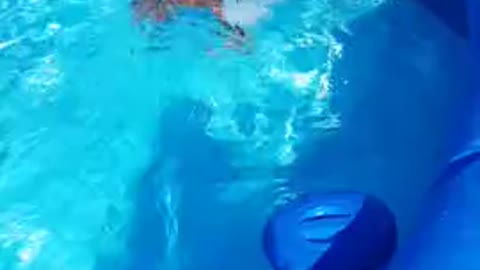 crazy jump into the pool