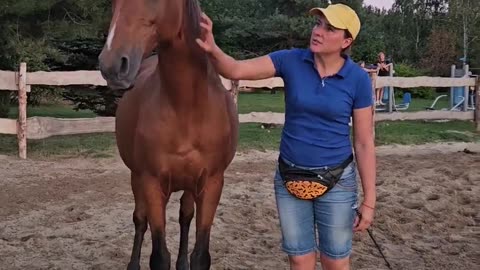 Trainer Builds Special Bond With Horse