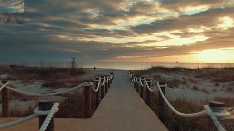 The beach road