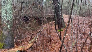 Waterworks and stream in the winter woods.